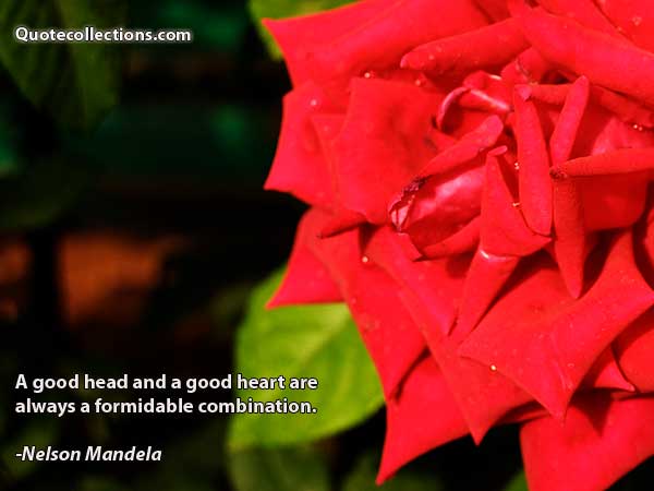Nelson Mandela Quotes3